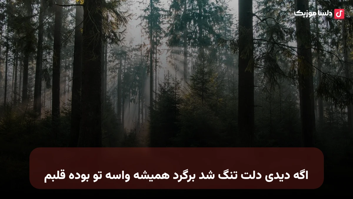 اگه دیدی دلت تنگ شد برگرد همیشه واسه تو بوده قلبم
